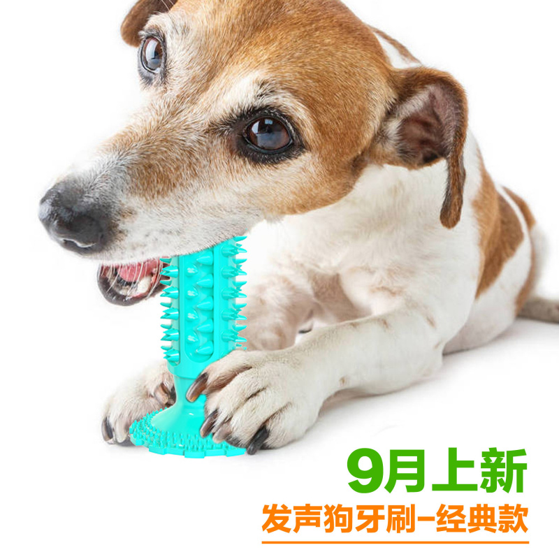 Игрушка для собак с присоской, – обзор и цена Pet Supplies Amazon