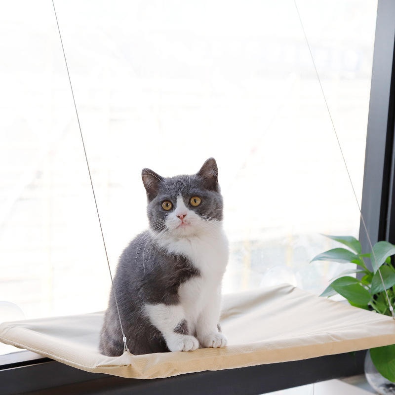Подвесной гамак для кошек на о – обзор и цена Cat Window Perch