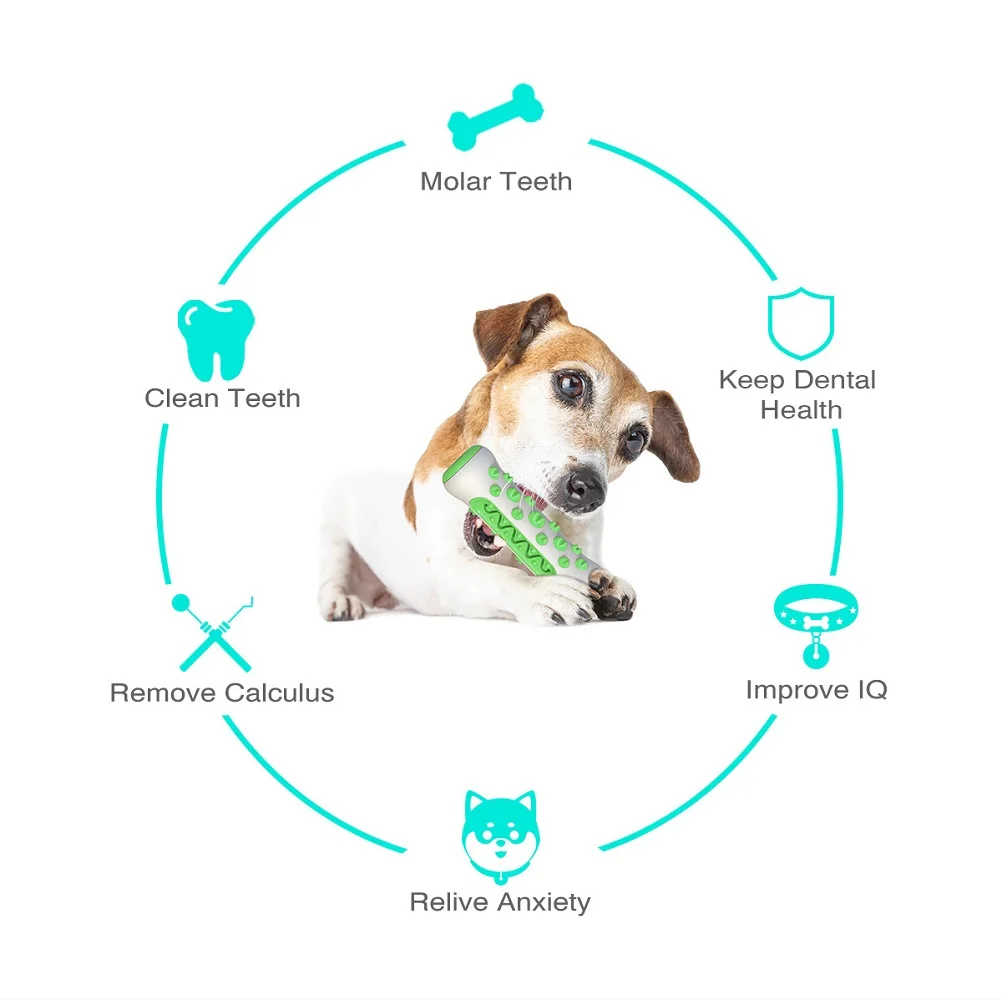 Товары для домашних животных A – обзор и цена Pet Supplies Amazon