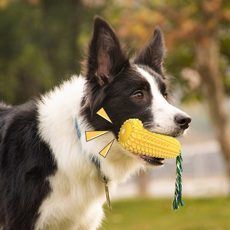 Товары для животных: Звуковая  – обзор и цена Pet Supplies Amazon